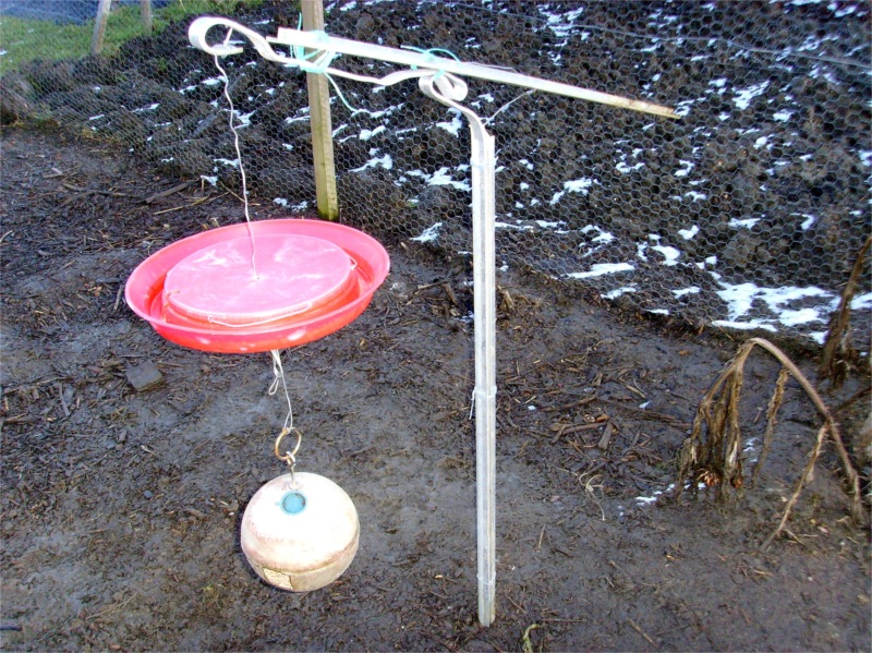Allotment Heaven How to make a rat proof chicken feeder